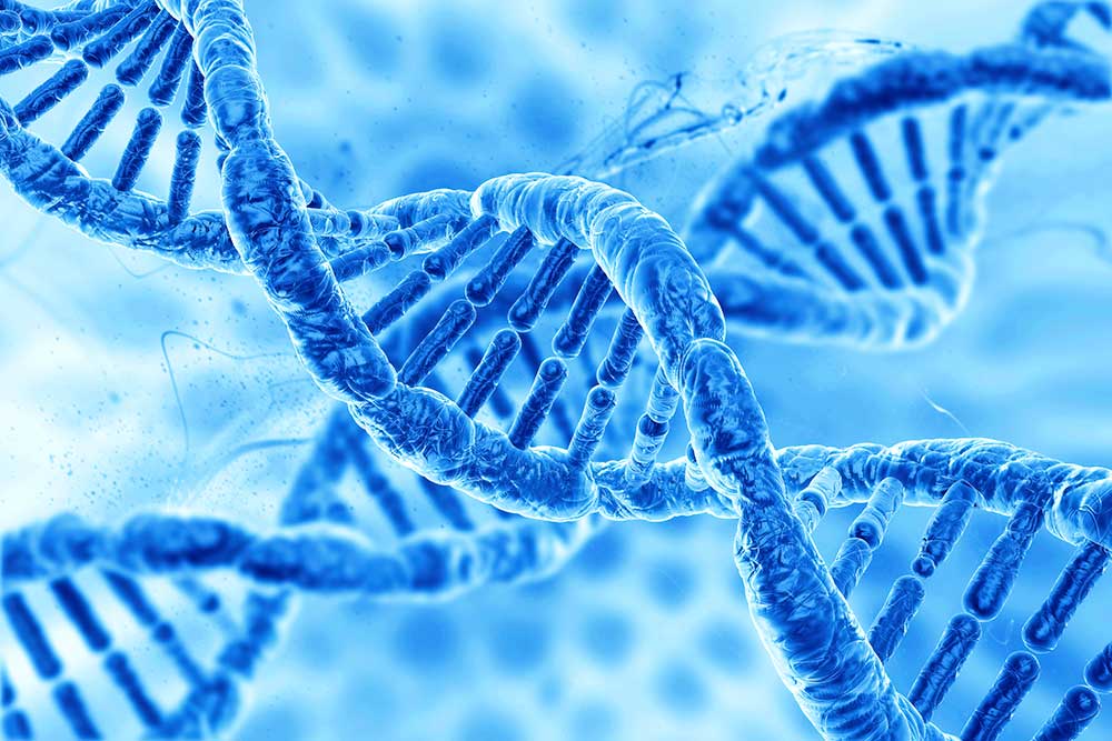 द आइडेंटिटी पजल: डीएनए बिल